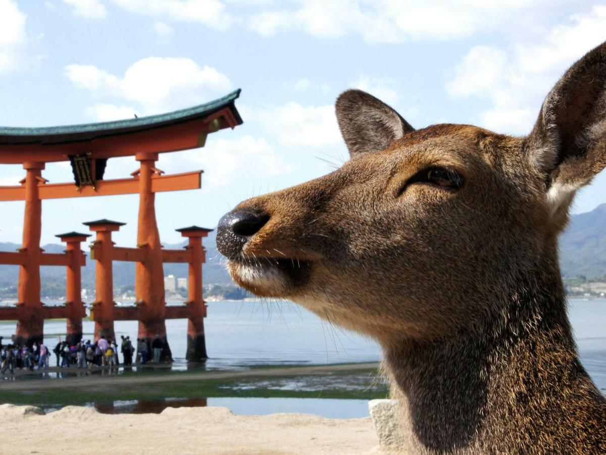 Global Resort Miyajima View Hatsukaichi Exterior foto